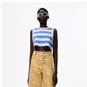 Zara Striped Knit Top NWT